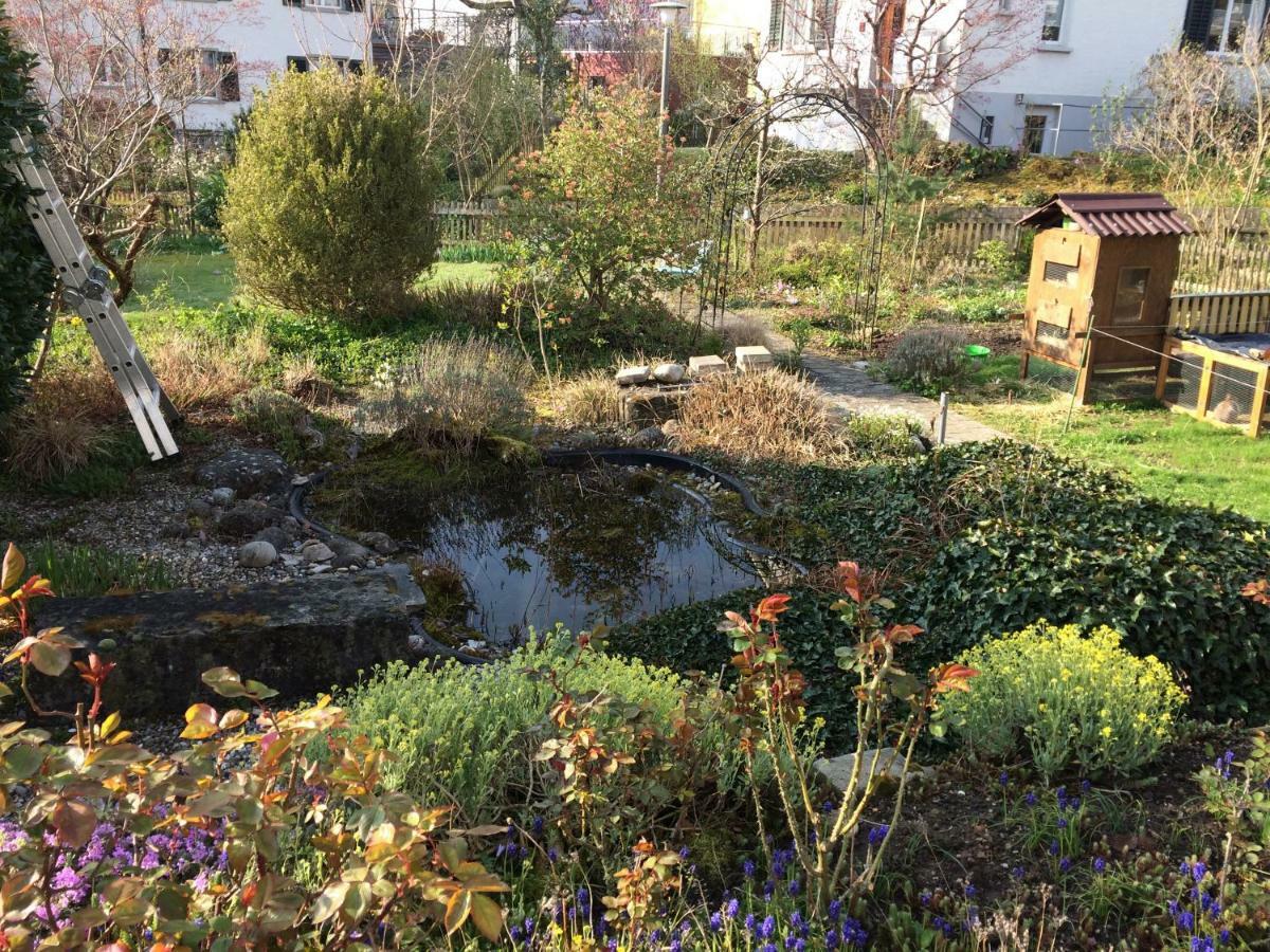 Ruhiges Gaestezimmer Winterthur Ngoại thất bức ảnh